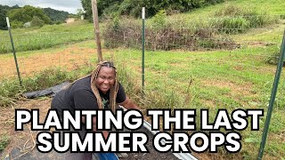 Planting Fall Potatoes-One of the Last Summer Crops