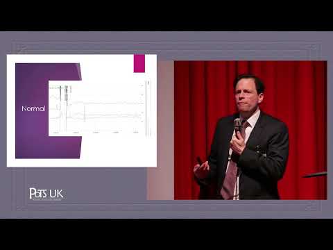 PoTS Masterclass 2017 - Dr Nick Gall