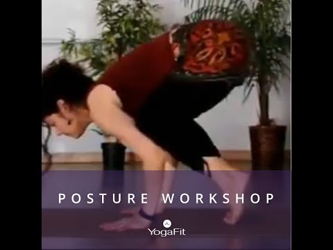 Posture Workshop with Sara K. 5/2: Arm Balances