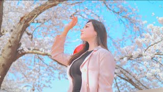 캐논 32mm F1.4 단렌즈로 촬영하는 이유