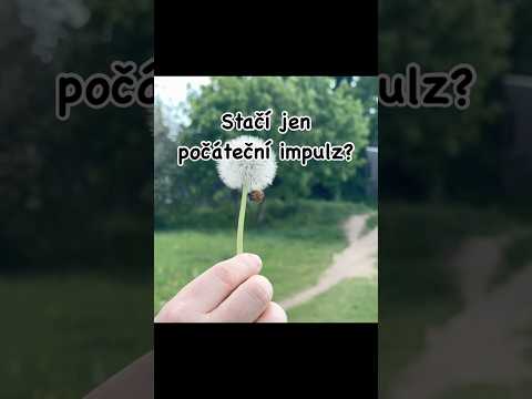 Stačí jen počáteční impulz?