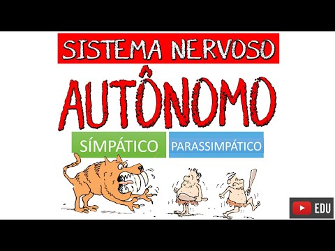 AUTONOMIC NERVOUS SYSTEM: Sympathetic and Parasympathetic (Video Lesson) - Neuroanatomy with Rogé...