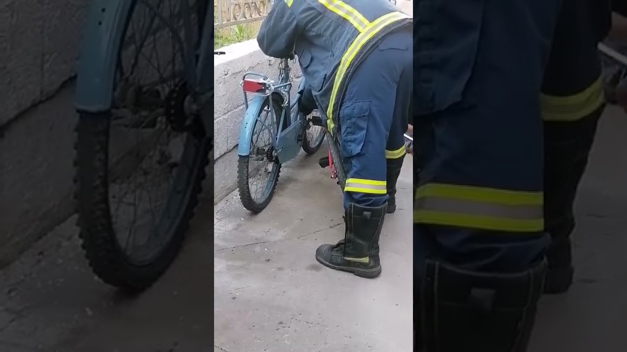 Die Schlangen beschlossen, mit dem Fahrrad zu fahren