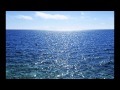 The Diamond Sea Acoustic - Sonic Youth 