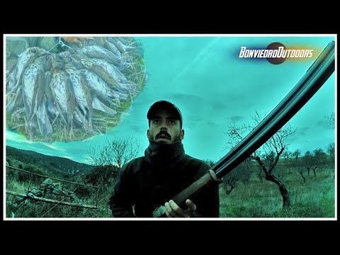 Caza de ZORZALES ¡Otra Gran Tirada! 2/2