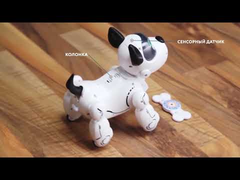 ROBOT DOG PUPBO (SLIVERLIT) - INSTRUCTION | РОБОТ ЩЕНОК ПАПБО ( SLIVERLIT ) - ИНСТРУКЦИЯ