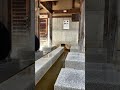 channel