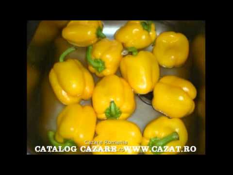 Cazare Cornatel, Bacau - Cazat.ro