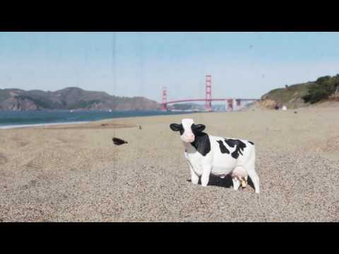 COPY011 - Trippin Jaguar & Small Solar System Body - Samosa (Video Cut)