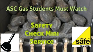 Gas Fire Saftety Check Mini Quick Service