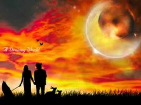 Dreamland - Denny & The Dreamairs