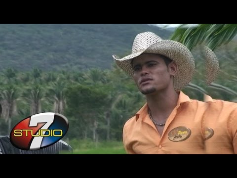 download lagu mp3 mp4 100 Parea, download lagu 100 Parea gratis, unduh video klip 100 Parea