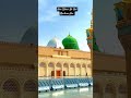 Har Udasi Ka Hal Madina Hai Zohaibashrafi Shorts Shortsvideo Shortsviral Viralshorts Ytshorts