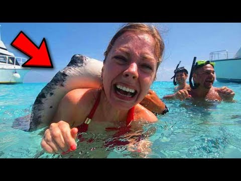 10 Most Dangerous Ocean Animals In The World (Deadly Sea Creatures)