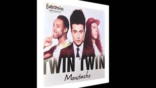 2014 Twin Twin - Moustache