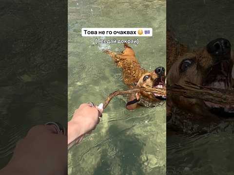 КАК ГО НАПРАВИ? 😳😳😳