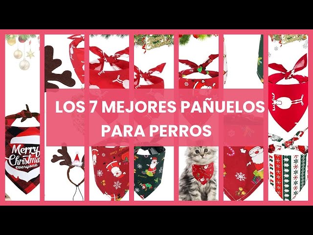 Vídeo relacionado con CENCERY Pañuelo de Navidad para Perros Pequeños, Fular Festivo Ajustable, Babero para Fiestas Lavable, Accesorio para Ropa de Mascotas (Cuello: 20-30cm/Verde-M)