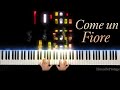Come Un Fiore - Ludovico Einaudi ~ Piano