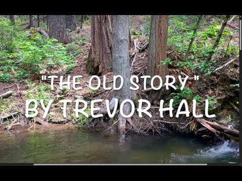 Trevor Hall - The Old Story - Lyric Video