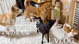 アラフィフVLOG｜犬猫赤ちゃんと妊婦のいる暮らし