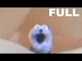 Screaming Blue Thing FULL SERIES