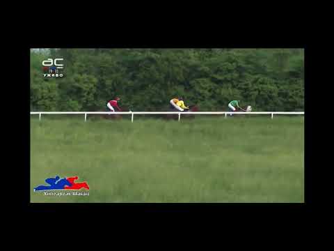 Sedma trka Šabac 28.05.2023 ŠABAČKI TRIJAL STAKES