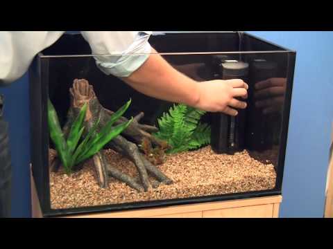 Setting up a Goldfish Aquarium