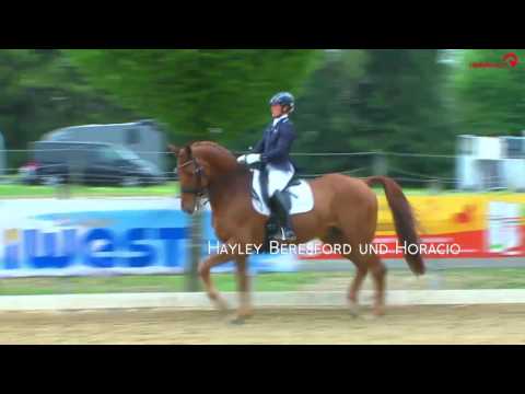 Reiterjournal SPORTSCHAU: Schönsten S-Sieger Dressur 2016