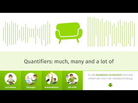 Quantifiers: Much, many or a lot of?