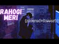 Rahogi Meri (Slowed+Reverb) Arijit Singh - Love Aajkal