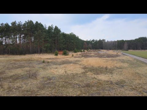 Działka budowlana ze ścianą lasu pod Toruniem