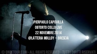 Concerto Completo - Pierpaolo Capovilla Obtorto Collo @Latteria Molloy – Brescia 22/11/2014
