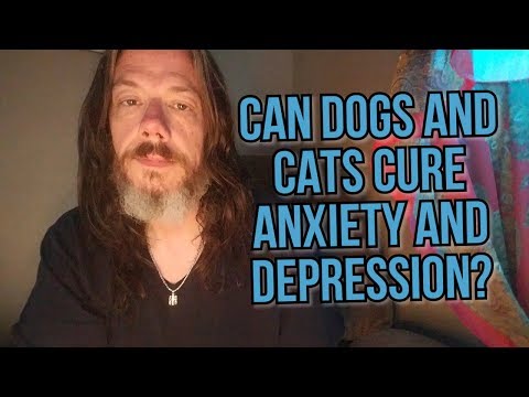 Can Cats and Dogs Cure Anxiety and Depression?