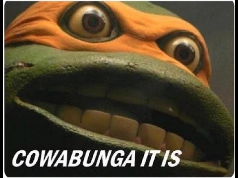 Cowabunga It Is