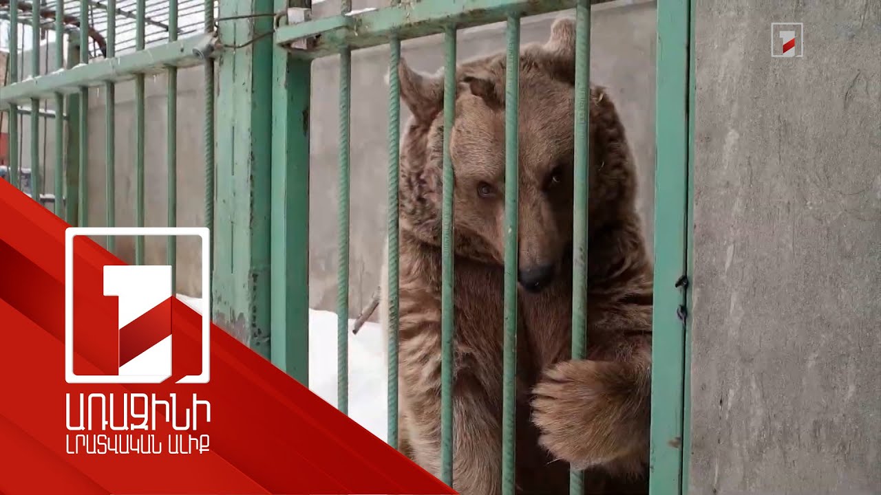 Անազատ և կիսաազատ պայմաններում վայրի կենդանիների պահելու պայմաններն ու առաջարկվող փոփոխությունները