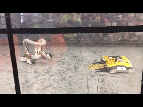 Robot Ruckus MFO: Banana Runt VS. Slammo