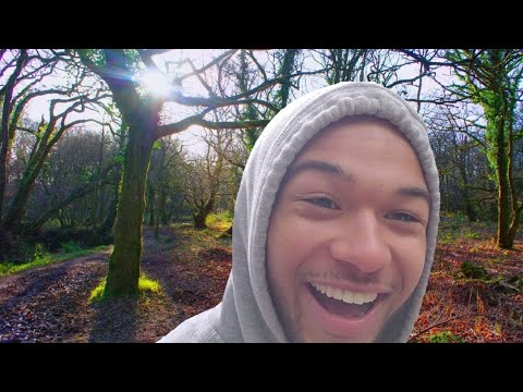My First LSD Trip | Intense Hallucinations On 300 ug | Live Trip Report In The Forest