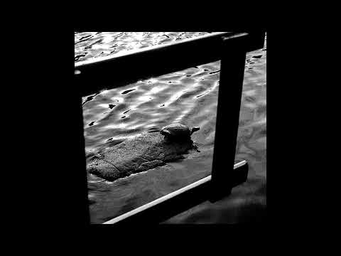 Sublunar Express - Night Tortoise (2024, Single)