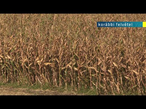 2020.09.26. - Nedimović: két évre van elegendő élelmiszer