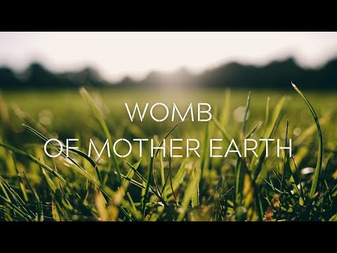 Shaman Drum | ROOT Chakra | Rebirth of Mother Earth 🌳🌍 Deep Grounding Meditation