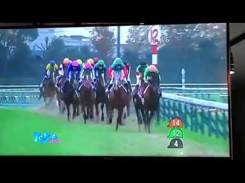 2014Japan Cup Epiphaneia by Christophe Soumillon