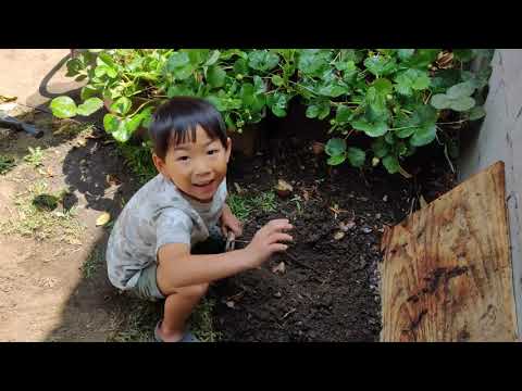 Will's Outdoor Worm "Bin"