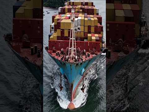 Thumbnail for MSC SURABAYA VIII navio conteiner santos  @naviosenovidades2025  cargueiro carga #shorts