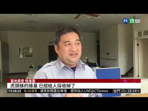 南庄傳虎頭蜂攻擊 3男1女遭螫傷