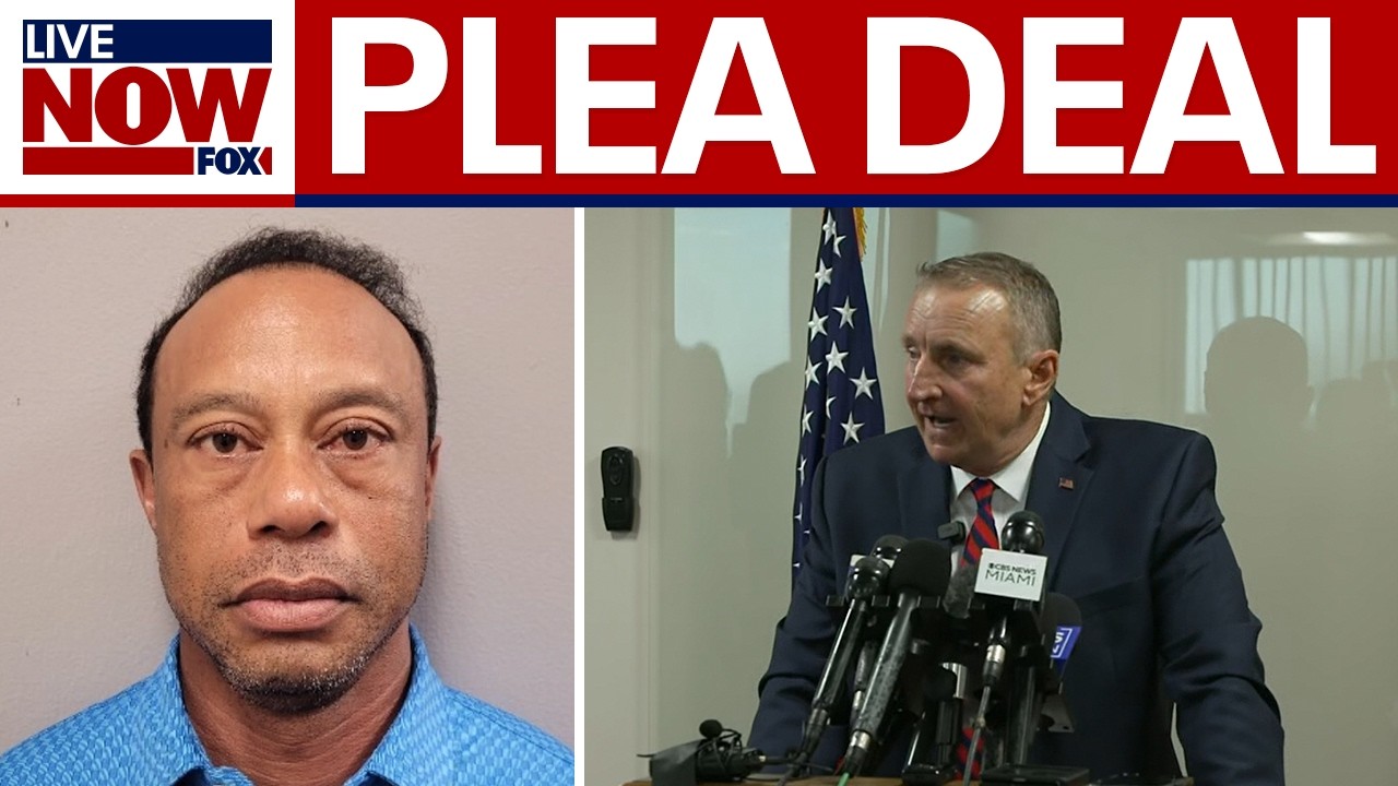 Tiger Woods plea deal: Prosecutors deliver remarks