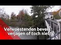 Worden de bevers in Boxmeer vandaag nou wel of niet verjaagd?