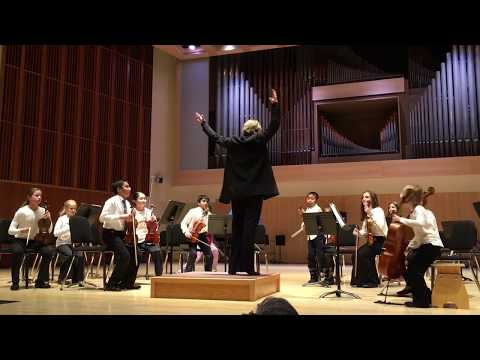 Fiddle Finger Frenzy (Mark Williams)