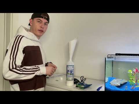 JBL ProFlora CO2 Bio 80 Eco - Unboxing und Installation