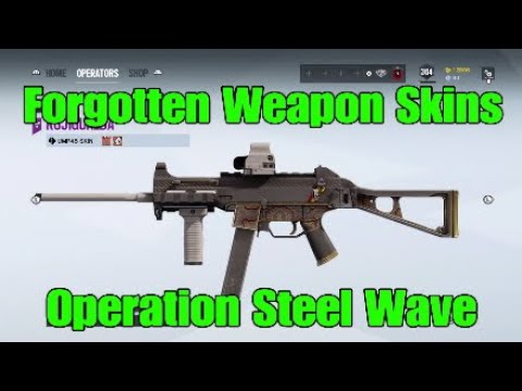 The *MOST* Forgotten Weapon Skins In Rainbow Six Siege - Rainbow Six Siege