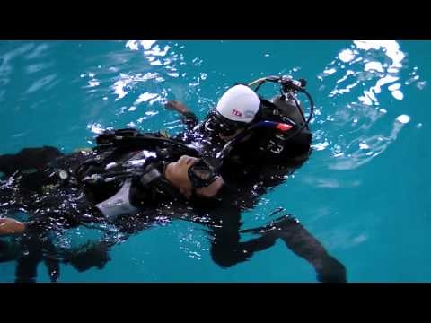 SDI TDI ERDI Korea Activity